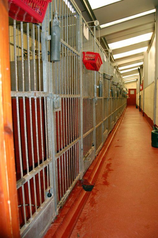 Freshly painted kennel units